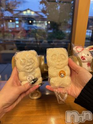 Х顦Armada(ޡ) 1120̥֥🐼🍁