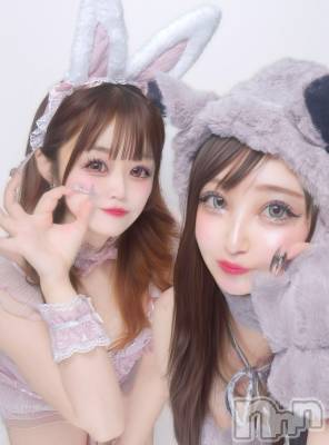 �����������Х��顦�����Armada(����ޡ���) �����12��9���̥�֥�����🐰🐺��