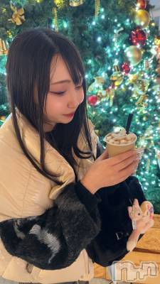 �����������Х��顦�����Armada(����ޡ���) �����12��21���̥�֥�����☀️��