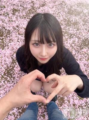 �����������Х��顦�����Armada(����ޡ���) �����4��2���̥�֥�����😸🌸��