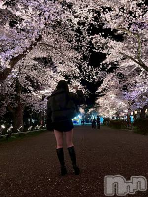 �����������Х��顦�����Armada(����ޡ���) �����4��17���̥�֥�����🌸��