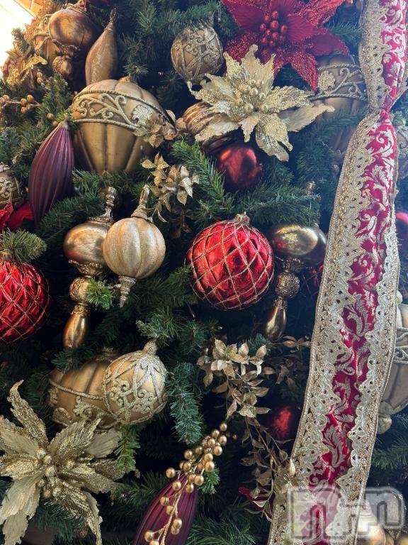 上田発デリヘルBIBLE～奥様の性書～(バイブル～オクサマノセイショ～) ☆アリサ☆(37)の12月24日写メブログ「🎅🎄」