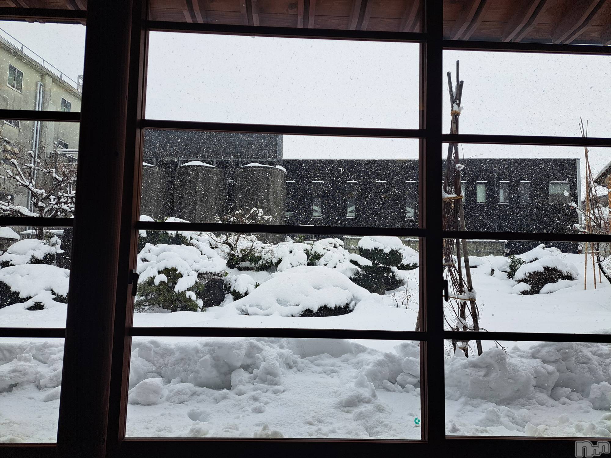 長岡デリヘル人妻楼　長岡店(ヒトヅマロウ　ナガオカテン)まどか(39)の2026年1月15日写メブログ「ありがとうございました😊」