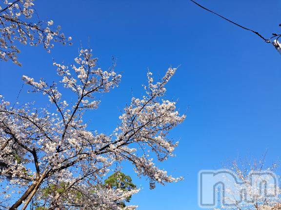 長岡デリヘル人妻楼　長岡店(ヒトヅマロウ　ナガオカテン)まどか(39)の2026年4月8日写メブログ「ありがとうございました😊」