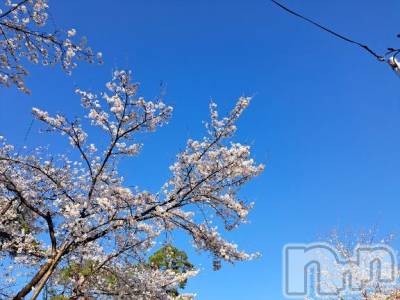 長岡デリヘル 人妻楼　長岡店(ヒトヅマロウ　ナガオカテン) まどか(39)の4月8日写メブログ「ありがとうございました😊」