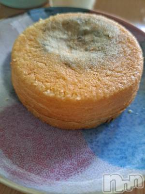 長岡デリヘル 人妻楼　長岡店(ヒトヅマロウ　ナガオカテン) まどか(39)の4月14日写メブログ「こんにちは😊」