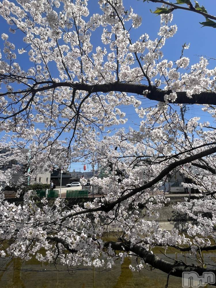 新潟デリヘルCherish Amulet(チェリッシュ アミュレット) るな★ ≪清楚ロリ系≫(22)の4月22日写メブログ「あっつい😻」