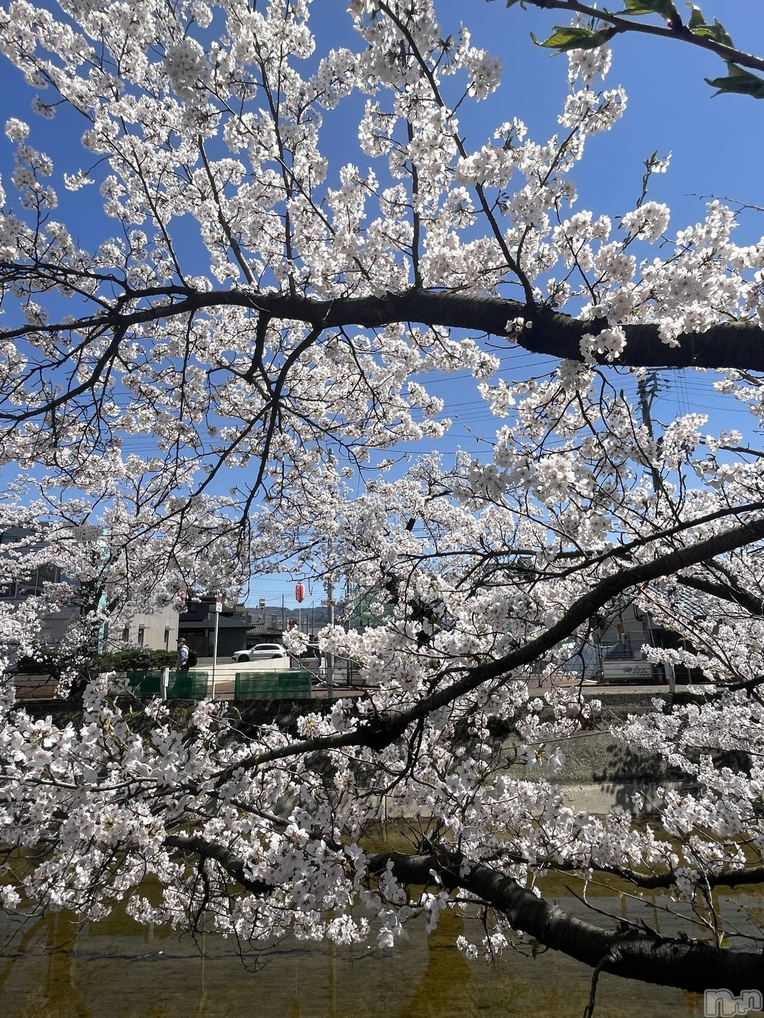 新潟デリヘルCherish Amulet(チェリッシュ アミュレット)るな★ ≪清楚ロリ系≫(22)の2026年4月22日写メブログ「あっつい😻」