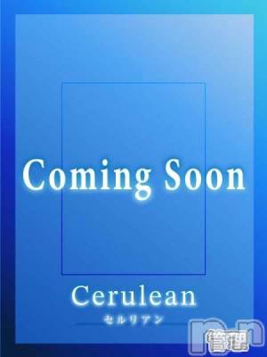 あやか(29) 身長166cm、スリーサイズB89(E).W57.H85。新潟デリヘル Cerulean(セルリアン)在籍。