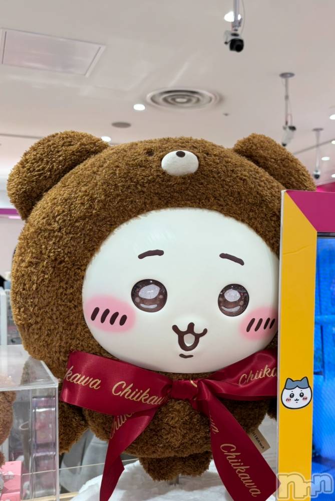 ��ˬ����Х��顦����֥���� �ץ���� ��ˬ(����� �ץ���� ����) ���� ����12��24���̥�֥�����🎄⭐️��