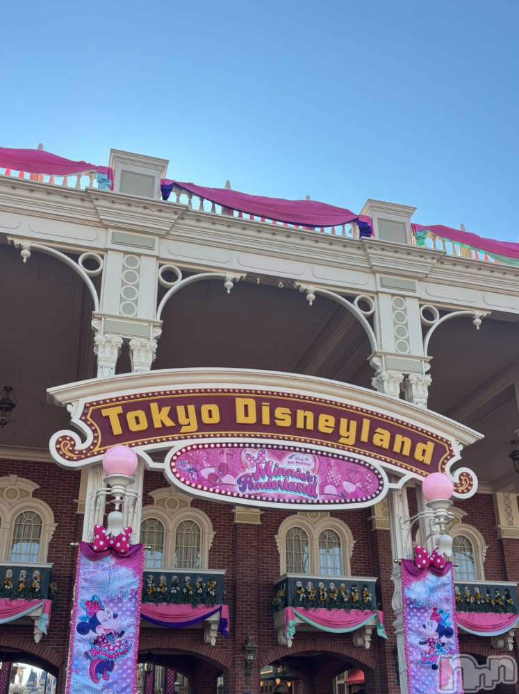 ��ˬ����Х��顦����֥���� �ץ���� ��ˬ(����� �ץ���� ����) ���� ����2��6���̥�֥�����🐭��