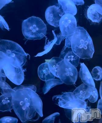 ��ˬ����Х��顦����֥���� �ץ���� ��ˬ(����� �ץ���� ����) ���� ����11��7���̥�֥�����‪·͜· ❤︎‬��