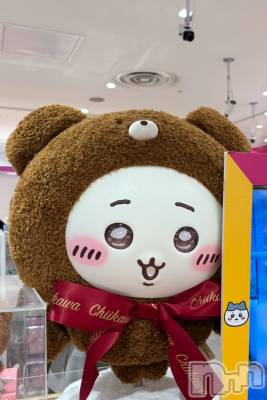 ��ˬ����Х��顦����֥���� �ץ���� ��ˬ(����� �ץ���� ����) ���� ����12��24���̥�֥�����🎄⭐️��