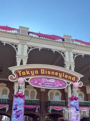 ��ˬ����Х��顦����֥���� �ץ���� ��ˬ(����� �ץ���� ����) ���� ����2��6���̥�֥�����🐭��