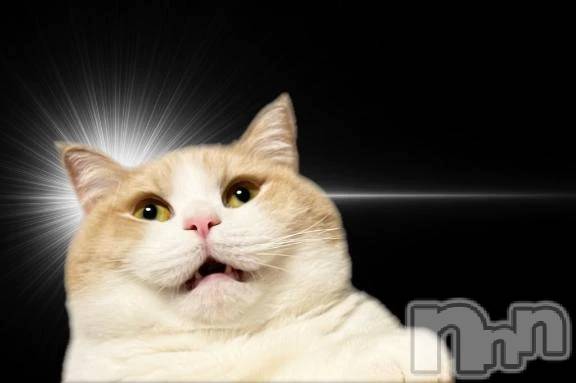 新潟デリヘル新潟デリヘル倶楽部(ニイガタデリヘルクラブ) ぱれこ(25)の11月2日写メブログ「はっ………！！！」