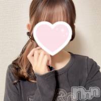 㡦ȯĥꥢ󥺥 ޤơ(ޥƥåȥ˥) ̴β(2)