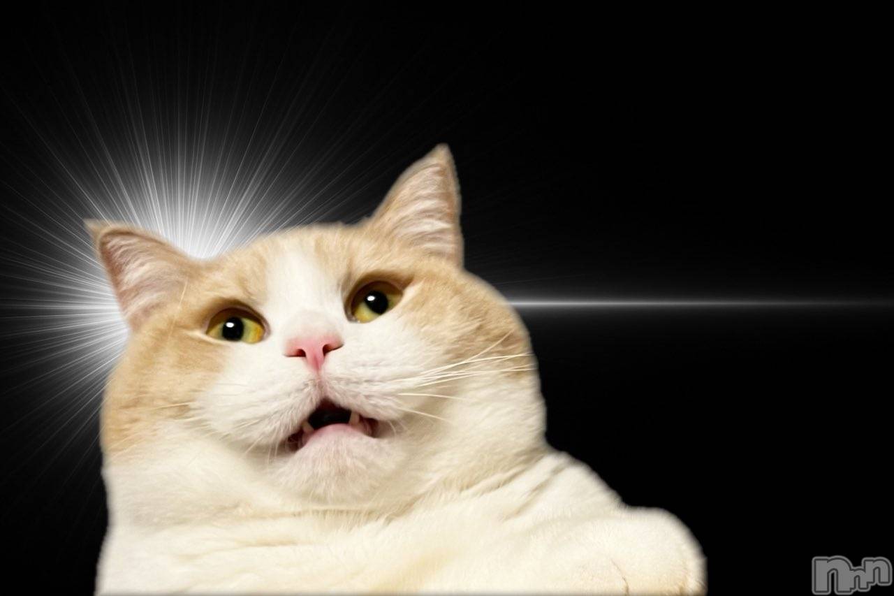 三条デリヘル新潟デリヘル倶楽部　三条店(ニイガタデリヘルクラブ　サンジョウテン)ぱれこ(25)の2025年11月2日写メブログ「はっ………！！！」