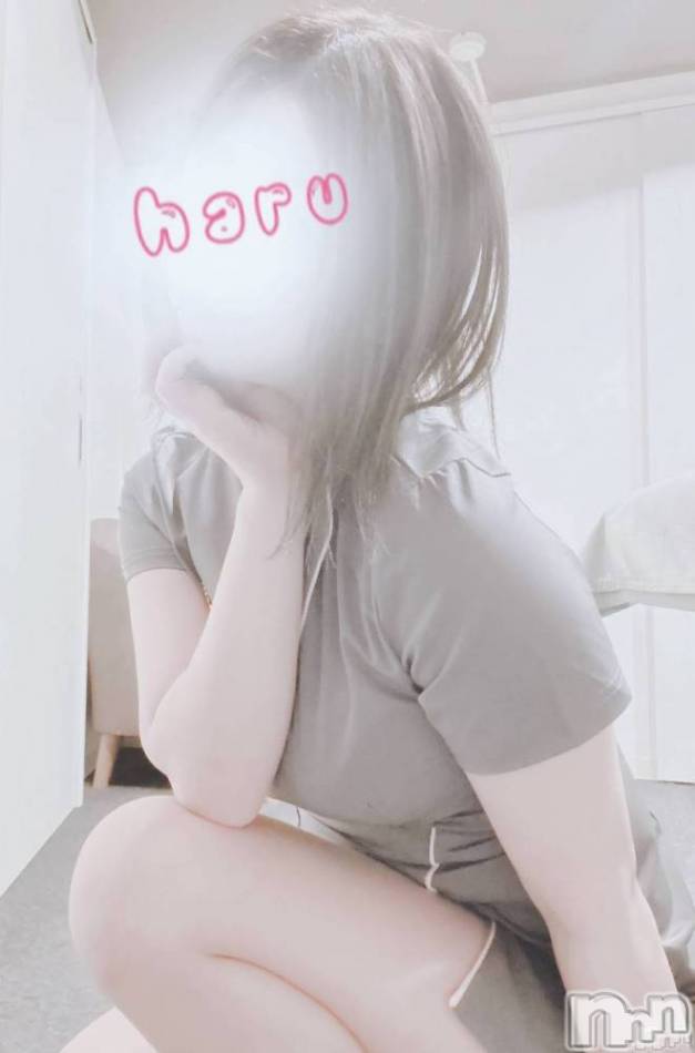 新潟メンズエステ(ルメア)の2025年11月29日お店速報「11月29日のセラピストはこちら♡」