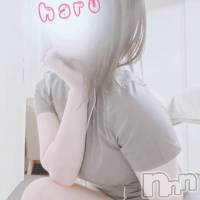 新潟メンズエステ Lumea(ルメア)の11月29日お店速報「11月29日のセラピストはこちら♡」