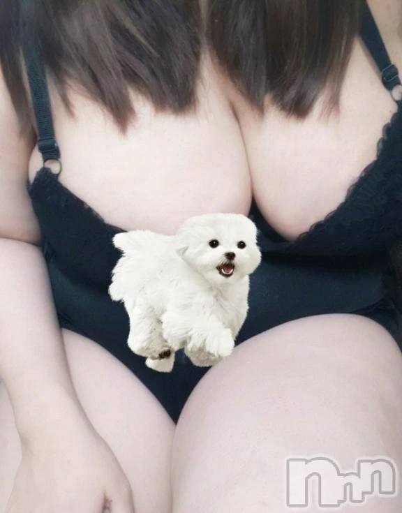 新潟デリヘル新潟市鳥屋野潟ちゃんこ(ニイガタシトヤノガタチャンコ)あんな(27)の2026年5月30日写メブログ「ありがとう❤️」