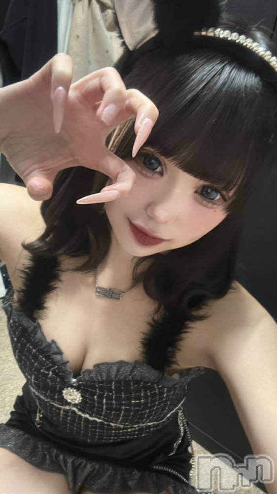 ܱХ顦CLUB FOUR LEAF(ե꡼) ⤨1122̥֥(՞- -՞)ᐝ