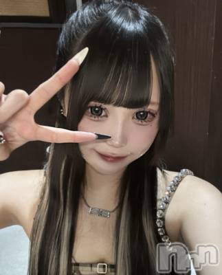 ⤨(ҥߥ) Ĺ149cmܱХ顦 CLUB FOUR LEAF(ե꡼)ҡ