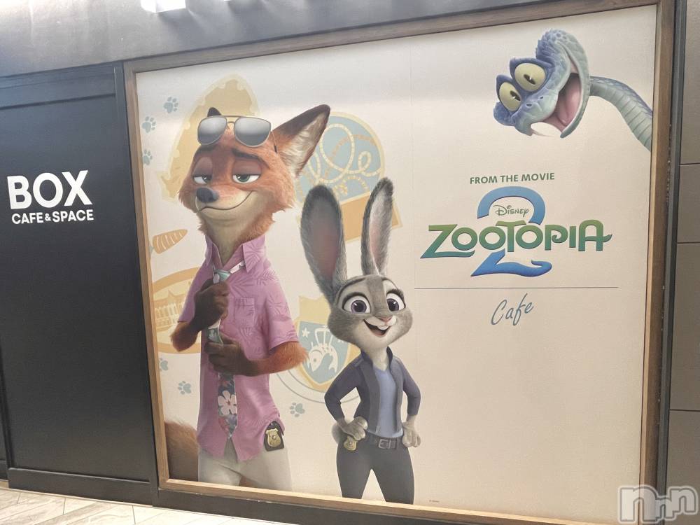 ��ˬ����Х��顦����֥���� �ץ���� ��ˬ(����� �ץ���� ����) ���� ����1��10���̥�֥�����🦊🤍��