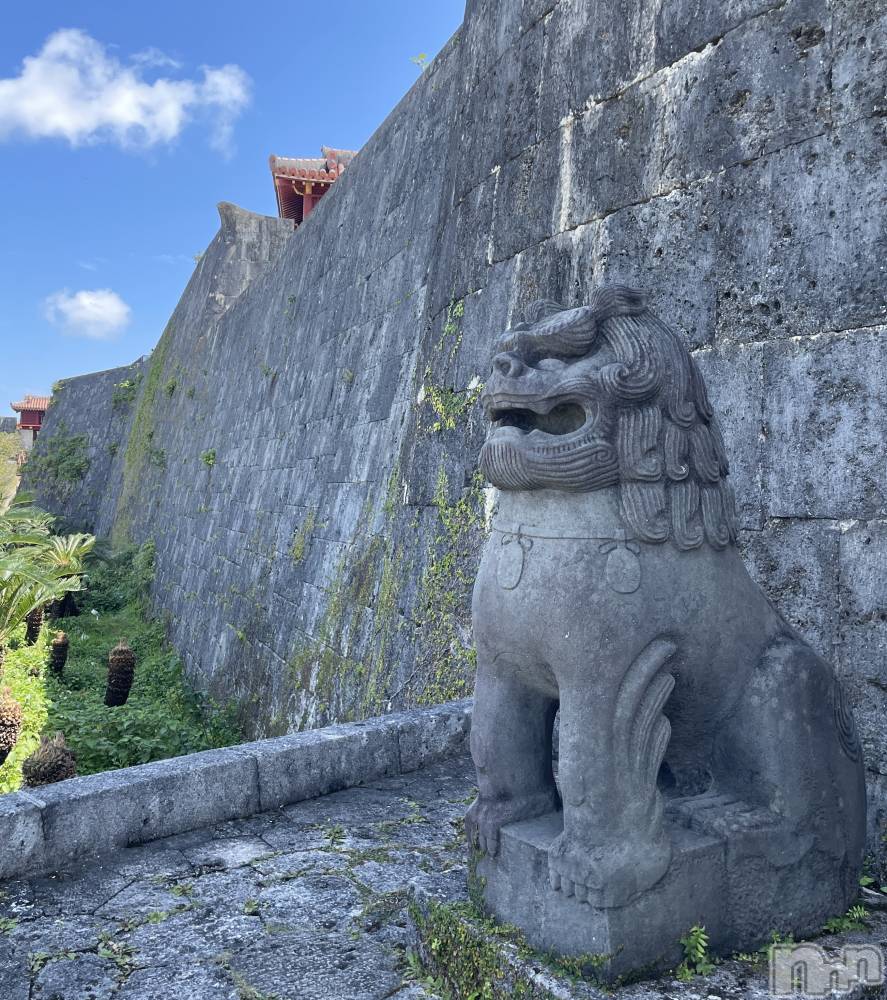 ��ˬ����Х��顦����֥���� �ץ���� ��ˬ(����� �ץ���� ����) ���� ����3��27���̥�֥�����🏯🤍��