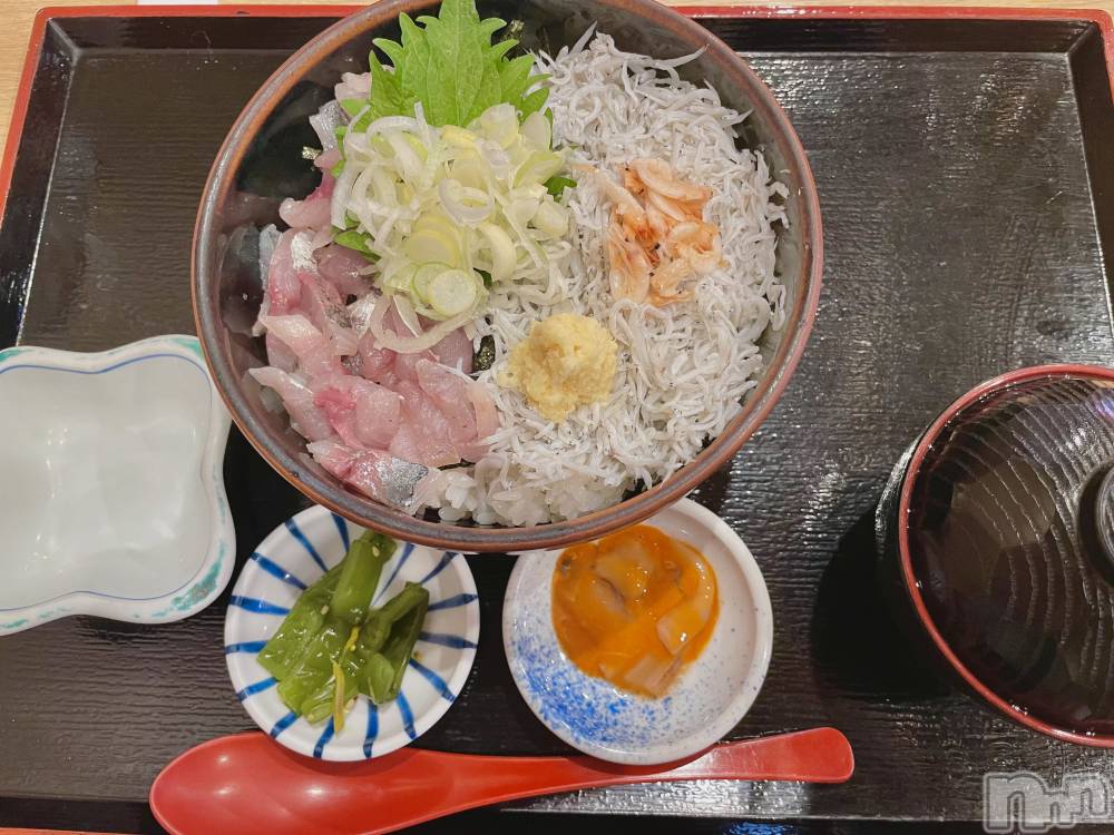 ��ˬ����Х��顦����֥���� �ץ���� ��ˬ(����� �ץ���� ����) ���� ����4��3���̥�֥�����🐟🤍��