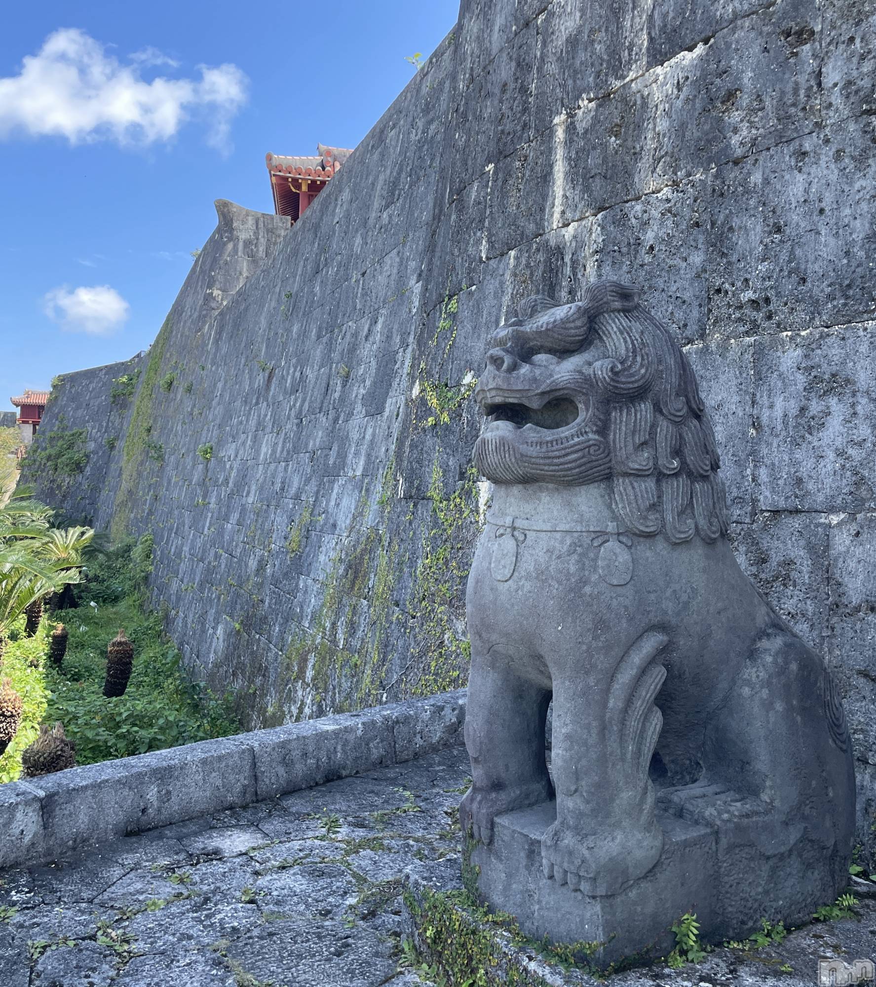 ��ˬ����Х��顦����֥���� �ץ���� ��ˬ(����� �ץ���� ����) ��2026ǯ3��27���̥�֥�����🏯🤍��