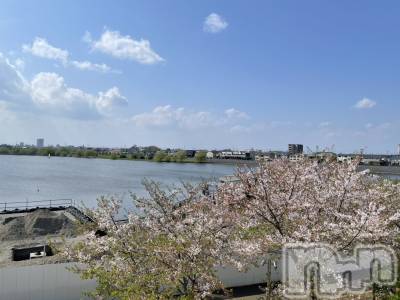 ���� �� ǯ��27�� / ��Ĺ160cm