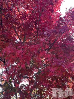 ��ˬ����Х��顦����֥���� �ץ���� ��ˬ(����� �ץ���� ����) ���� ��(27)��11��22���̥�֥�����🍁🤍��