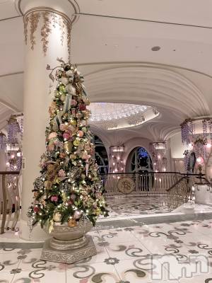 ��ˬ����Х��顦����֥���� �ץ���� ��ˬ(����� �ץ���� ����) ���� ��(27)��12��27���̥�֥�����🌷🤍��