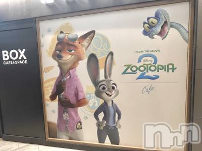 ��ˬ����Х��顦����֥���� �ץ���� ��ˬ(����� �ץ���� ����) ���� ��(27)��1��10���̥�֥�����🦊🤍��