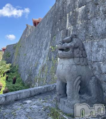 ��ˬ����Х��顦����֥���� �ץ���� ��ˬ(����� �ץ���� ����) ���� ��(27)��3��27���̥�֥�����🏯🤍��