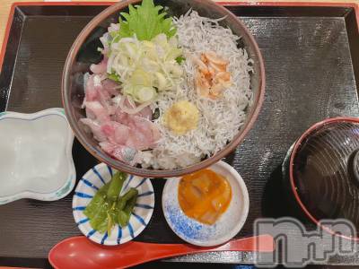 ��ˬ����Х��顦����֥���� �ץ���� ��ˬ(����� �ץ���� ����) ���� ��(27)��4��3���̥�֥�����🐟🤍��