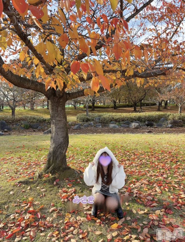 新潟メンズエステLumea(ルメア) 一条 みさきの11月23日写メブログ「秋見つけた🍂°̥࿐」