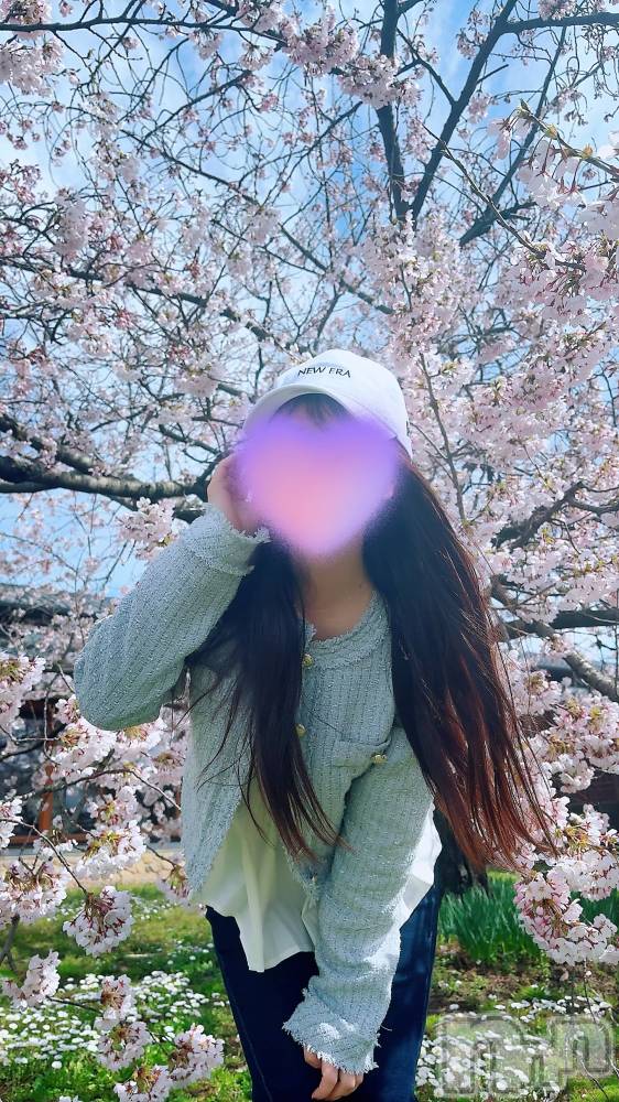新潟メンズエステLumea(ルメア) 一条 みさきの4月5日写メブログ「桜とみさき🌸」