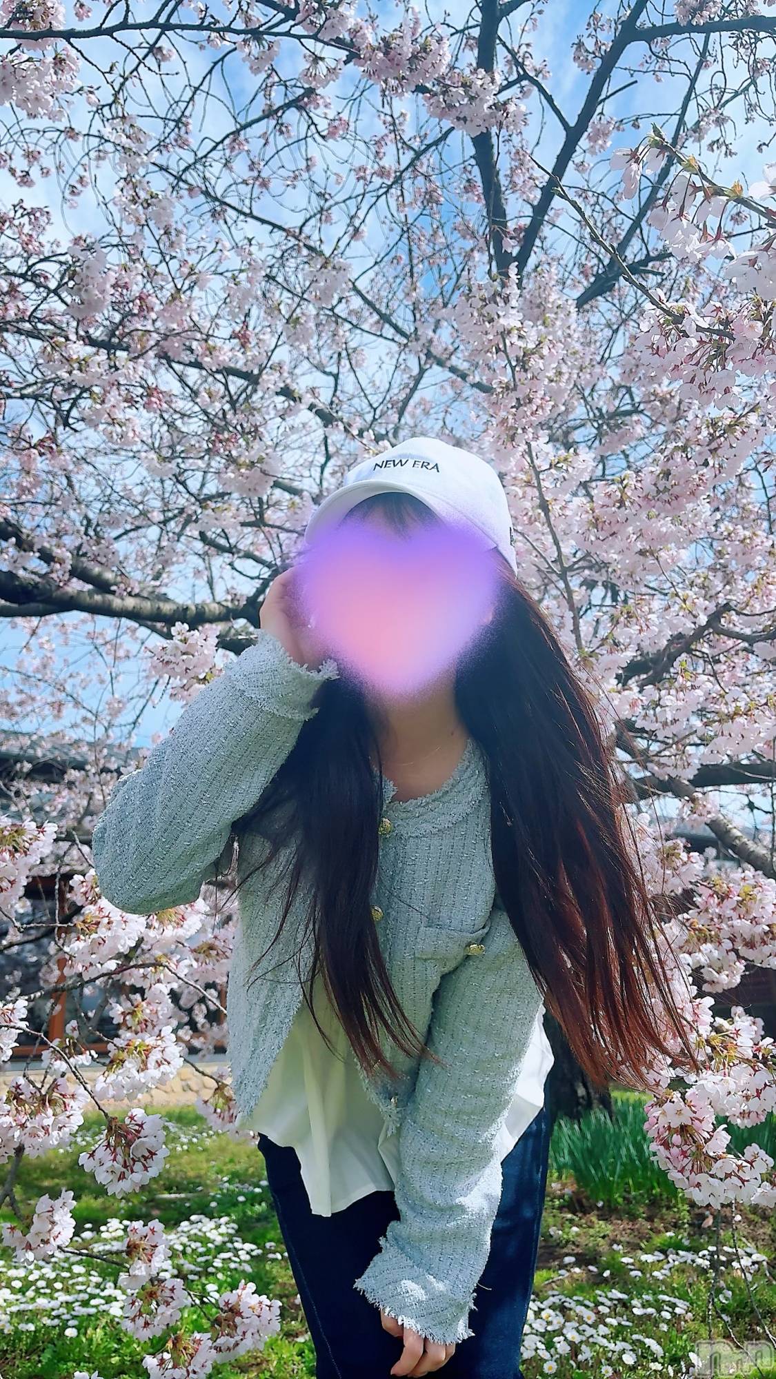 新潟メンズエステLumea(ルメア)一条 みさきの2026年4月5日写メブログ「桜とみさき🌸」