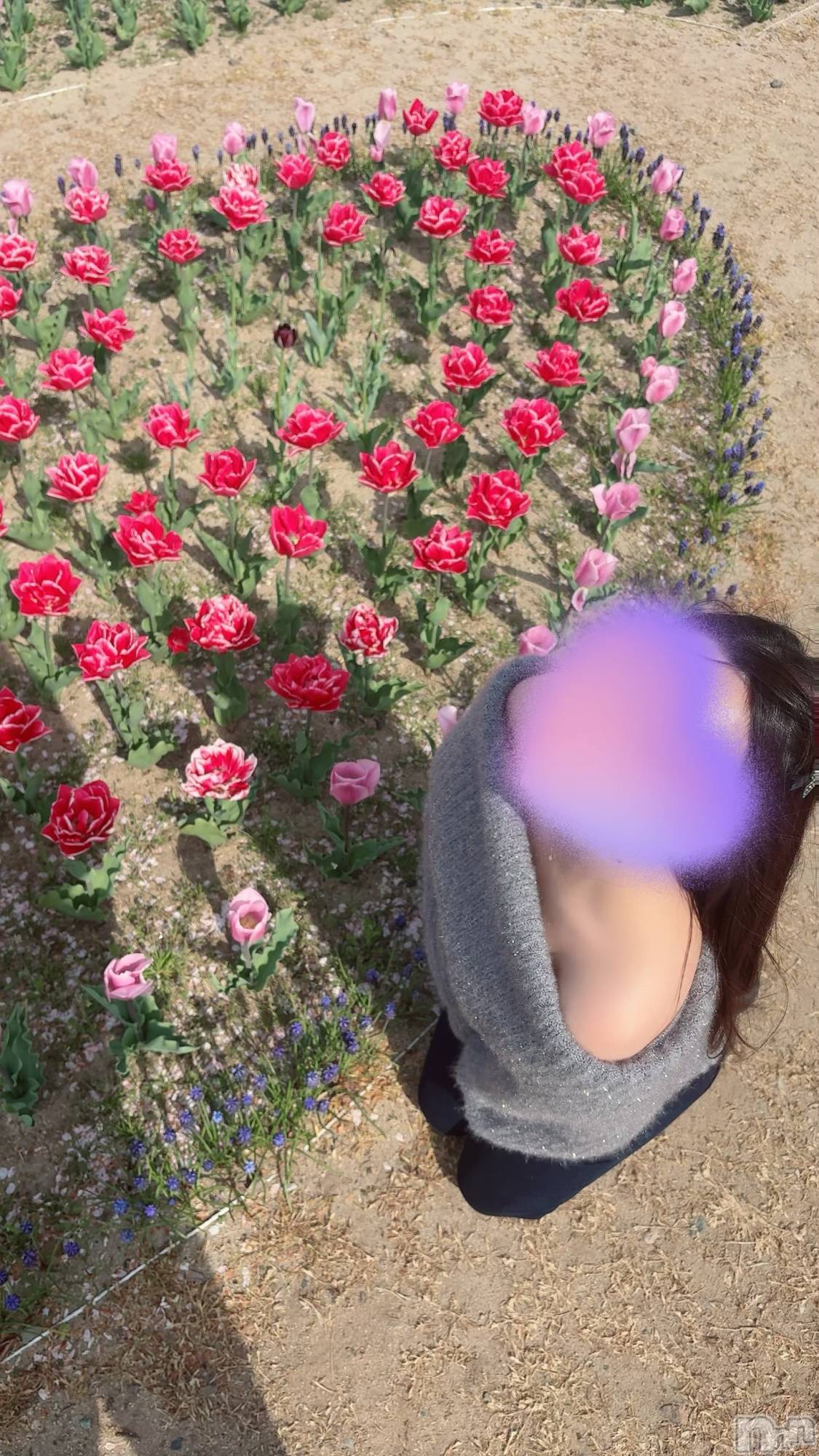 新潟メンズエステLumea(ルメア)一条 みさきの2026年4月16日写メブログ「チュー🌷」