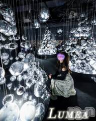 新潟メンズエステLumea(ルメア) 一条 みさきの11月6日写メブログ「Lumeaの一条みさきです♥️」