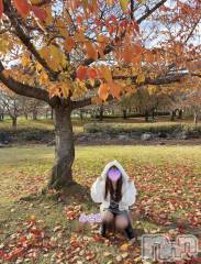 新潟メンズエステLumea(ルメア) 一条 みさきの11月23日写メブログ「秋見つけた🍂°̥࿐」