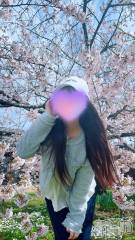 新潟メンズエステLumea(ルメア) 一条 みさきの4月5日写メブログ「桜とみさき🌸」