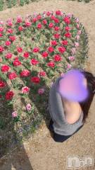 新潟メンズエステLumea(ルメア) 一条 みさきの4月16日写メブログ「チュー🌷」