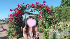 新潟メンズエステLumea(ルメア) 一条 みさきの6月15日動画「薔薇とみさき🌹✨」