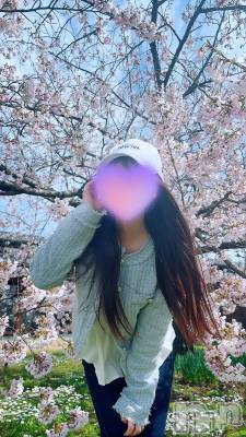 新潟メンズエステ Lumea(ルメア) 一条 みさき(ヒミツ)の4月5日写メブログ「桜とみさき🌸」