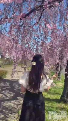 新潟メンズエステ Lumea(ルメア) 一条 みさき(ヒミツ)の4月11日動画「てくてく💗🌸🩷」