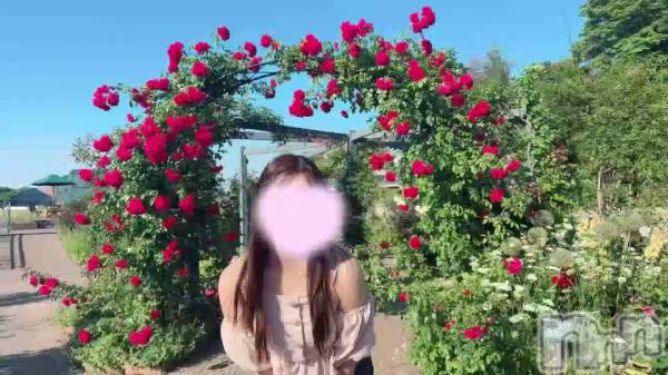 薔薇とみさき🌹✨