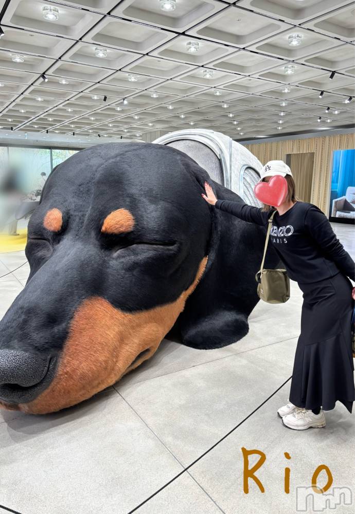 新潟メンズエステLumea(ルメア) 小日向 りおの11月10日写メブログ「おっきいすぎ❤️」