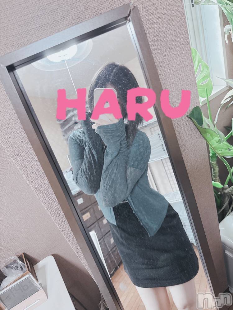 新潟メンズエステLumea(ルメア) 神田 はるの11月7日写メブログ「よろぴまる🫶」
